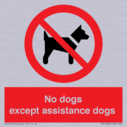 no-dogs-except-assistance-dogs~